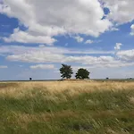 Fischerstieg