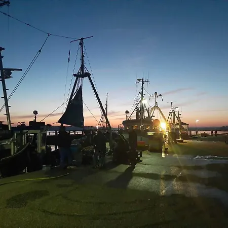 Daire Fischerstieg Maasholm