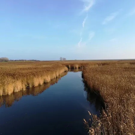 Fischerstieg * Maasholm