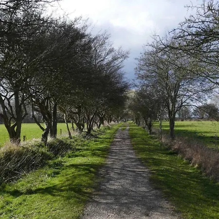 Daire Fischerstieg *