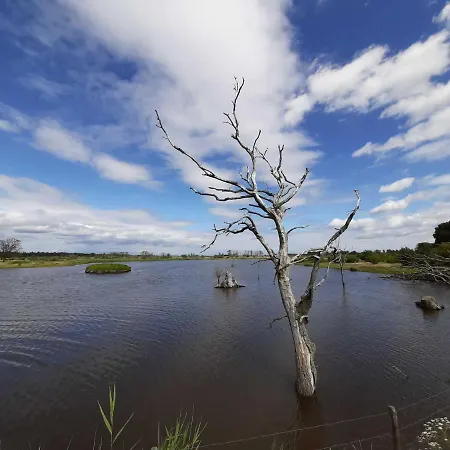 Daire Fischerstieg *