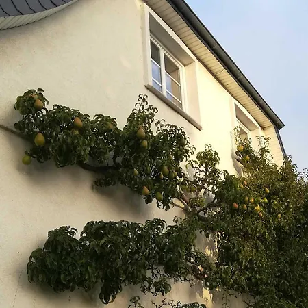 Apartment Fischerstieg Maasholm